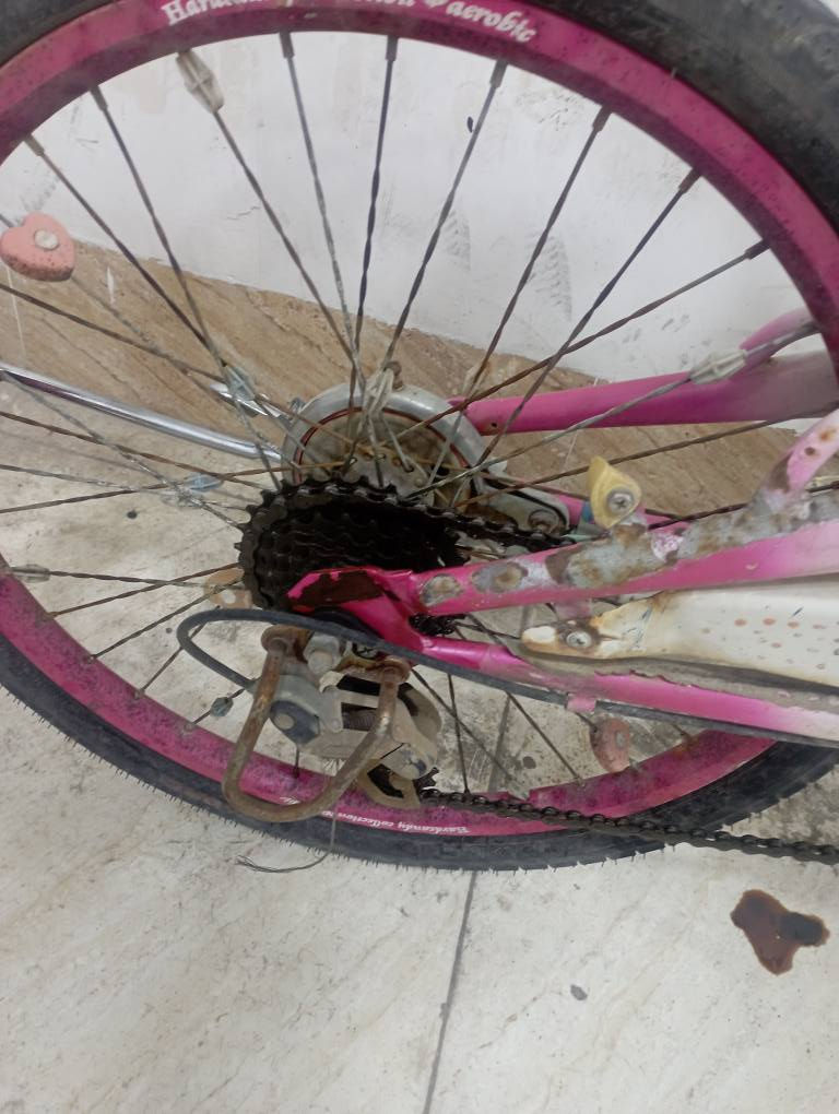 باسكيل لبنات للبيع جديدة ما بيها عيب رقم 20 سعر ٥٠ و بیها مجال مکانی كركوك ما عندي توصيل 
پاسکیل کچانە بۆ فرۆشتن هیچ کێشەی نییە ڕەقەم ٢٠ نرخی ٥٠ هەزار معاملەشی تێدایە شوێنم کەرکوکە گەیاندنم نییە كركوك, العراق


**إذا كنت صاحب هذا الإعلان وتريد حذفه لأي سبب، رجاءا أرسل رسالة إلى الدعم الفني**