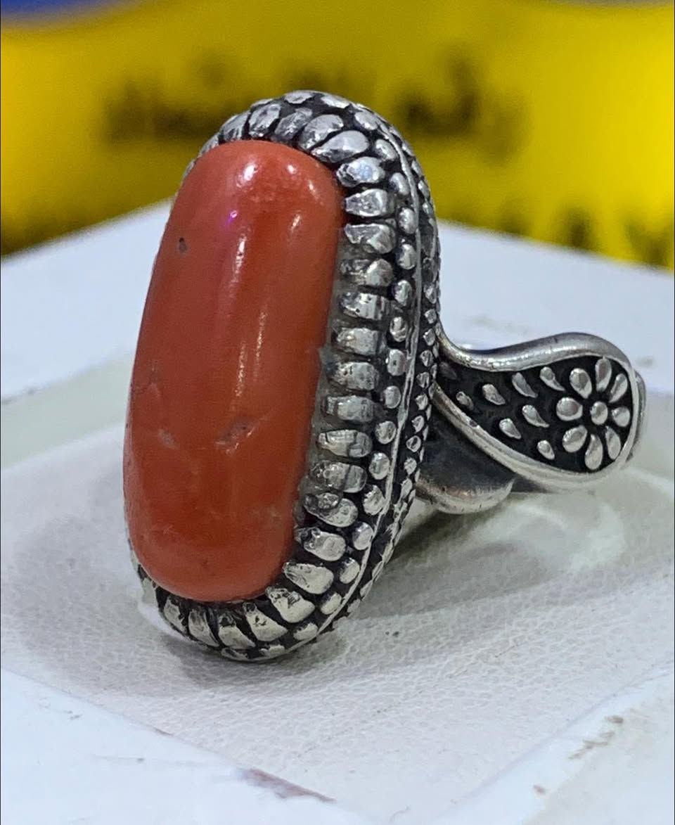 مرجان تونسي قديم


**إذا كنت صاحب هذا الإعلان وتريد حذفه لأي سبب، رجاءا أرسل رسالة إلى الدعم الفني**