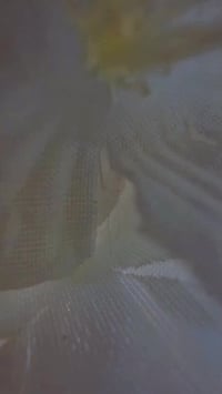 أهلاً وسهلاً بكم في قاعة التفاحة الحمراء الاعراس والمناسبات 💜 خلي زواج...