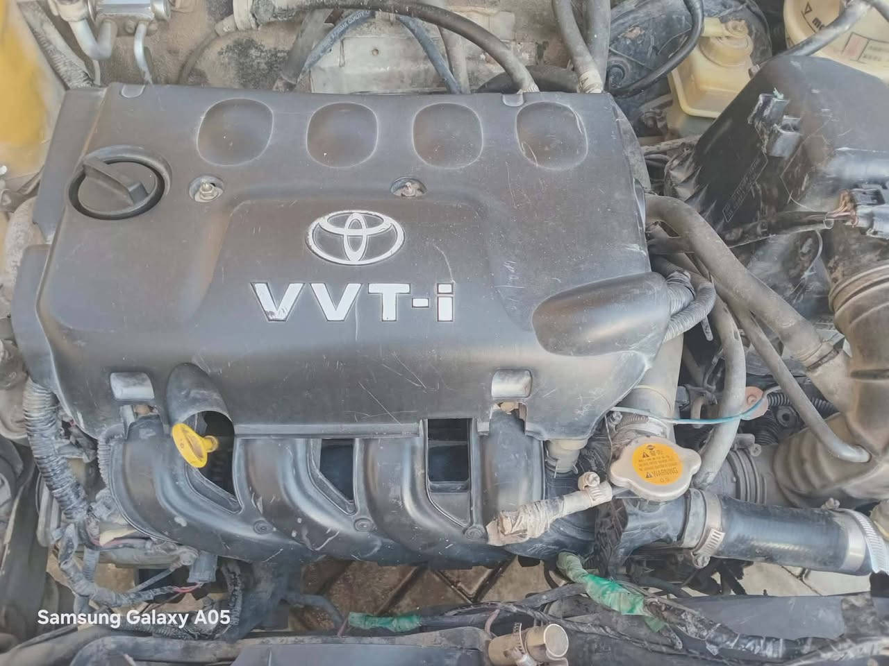 شيري موديل ٢٠١٠ كير ومكينه كورلاه سنويه له ٢٠٢٩ تحويل رقم بغداد ثناني يوم نضيفه سياره ماتحتاج لو ربع دينار مصرف وثانيه جلي موديل ٢٠١٣ رقم نكليزي هم تحويل ثاني يوم البيع ومراوس  ثالثه ستره موديل ٢٠١٩ رقم بغداد تحويل ثاني يوم وارد مريكي البيع ومراوس يرهم رقم تلفون ***********
