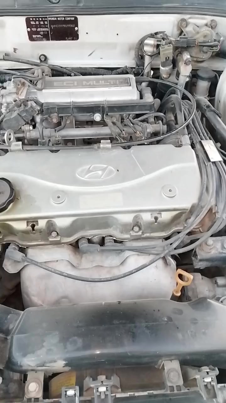 اللهم صل على محمد وال محمد
﷼سوناته تو 94رقم بغداد نكليزي تحويل مباشر   سياره بدون ضربه مصبوغه صبغ رقم واحد1  خير من الله  كير  صدر جديد تايرات ٤ جديد  شاشه جديده سماعات   تبريد تدفئنه نار   شرط سياره مال جناي رجاً متعرف قيمته لتكسر بحلال الناس  متصرف عليه لو ربع  معدل ١٨٠  #السعر 50  للستفسار الاتصال ع الرقم*********** مكان السياره ديالى غالبيه
