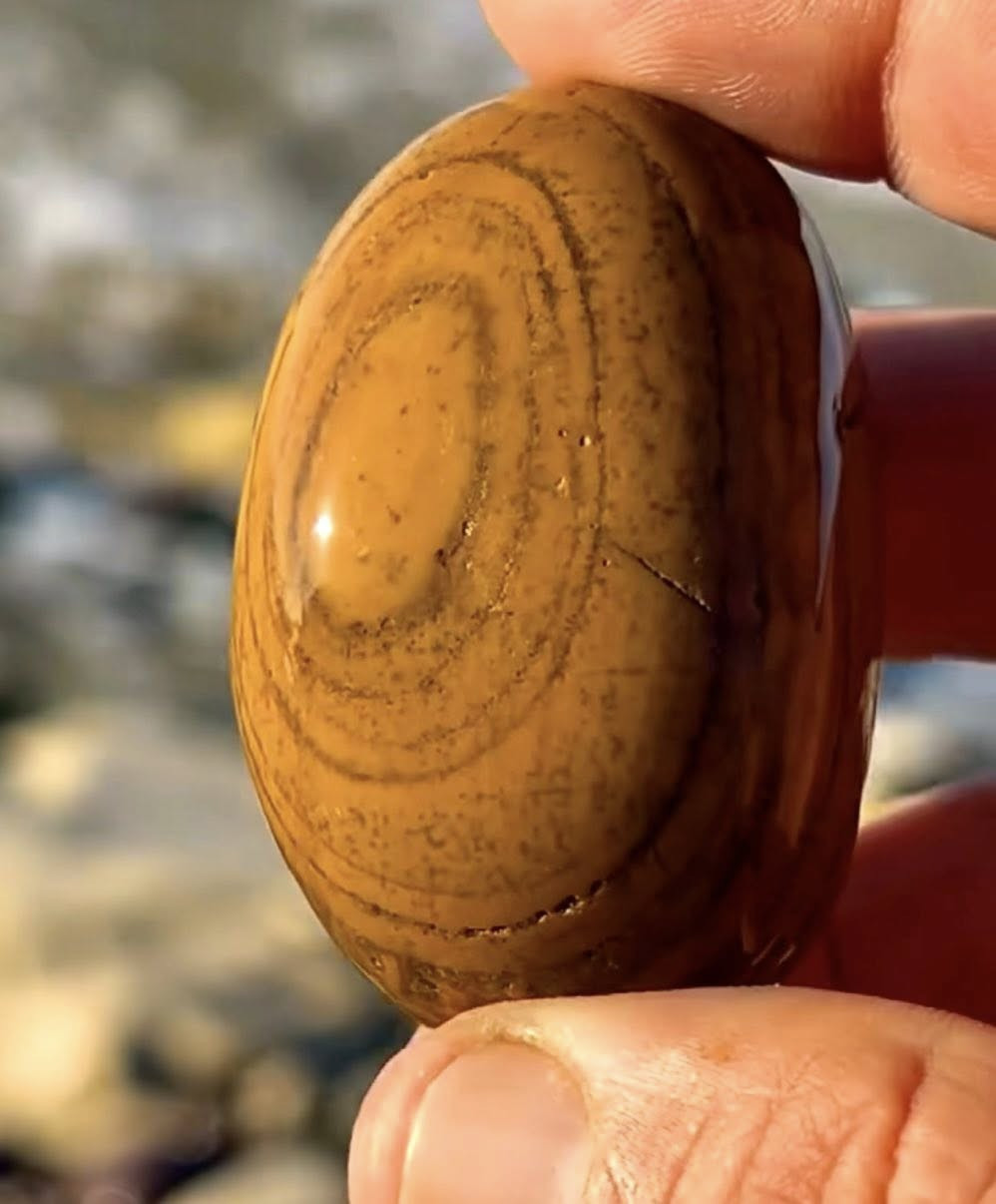 Dendritic Yellow Jasper displays Liesegang banding with concentric yellow and brown rings in a silica matrix. A dark band marks secondary mineral infiltration, with iron or manganese oxide dendrites branching through the stone.
#omarthemoroccanrockhound
#omarthemoroccantraveller
#امودو_على_الدراجات
#dendriticjasper
#omarsstones
#omarsbeach


**إذا كنت صاحب هذا الإعلان وتريد حذفه لأي سبب، رجاءا أرسل رسالة إلى الدعم الفني**