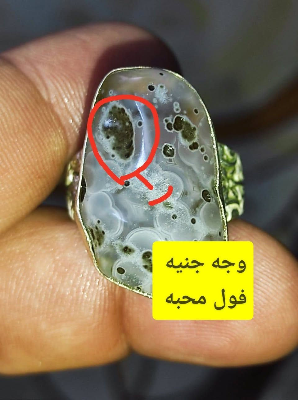 بسم الله 
الوحش الخام 
مصوره وجه جنيه فوللل ازماط 
حجره vip شرط خام مامجروخ 
كامل للحمل مجرب فول محبه 
فول عقد لسان منجم ومبخبر 
فضه عراقي يدوي ٩٢٥ 
٣٥ الف جوه سعر الفضه ابيع 
***********واتساب
