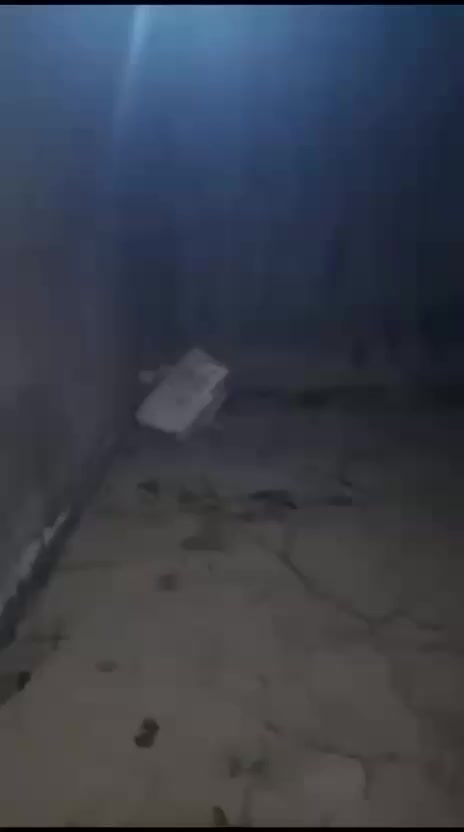 بيت للبيع مساحه العرصه 100م
بناء 60م
صب كونكريت بناء حديث  
البيت كامل من كلشي 
يحتوي مطبخ صغير وحمام وصاله. وغرفه نوم 
بيتونه ودرج 

العنوان  ، علوه الفحل شارع الفلل قرب صوره الامام العباس. الفرع الخامس 

زراعي 25 ملك صرف 
السعر. 28م 
بيه مجال قليل 
الاستفسار على الخاص


**إذا كنت صاحب هذا الإعلان وتريد حذفه لأي سبب، رجاءا أرسل رسالة إلى الدعم الفني**