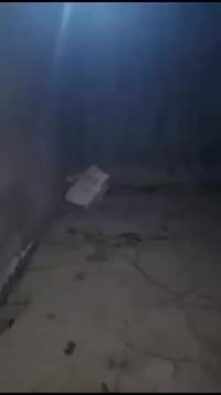 علوه الفحل • ١٠٠م • ملك صرف