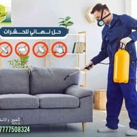 كيف تحفظ بيتك من النمل الابيض في المستقبل؟  يسبب النمل الابيض أضرار كب...