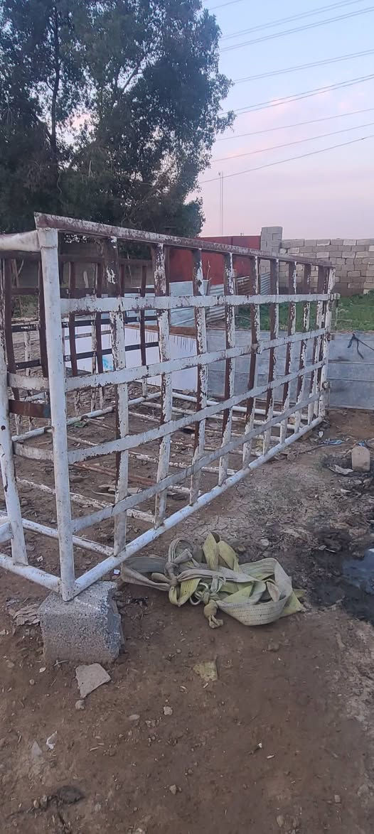 محجر كيه فحل للبيع ***********سعر 500
