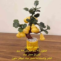 أشجار فواكه • حجر الجاد • توصيل العراق