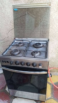 طباخ • شغال • أبو دشير