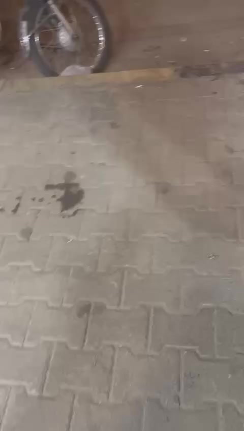 اسواق الوهاج للبيع في حي التعاون مقابل سيف سعد مجاور شركة اجنحة الشاهين للاتصال على ***********
