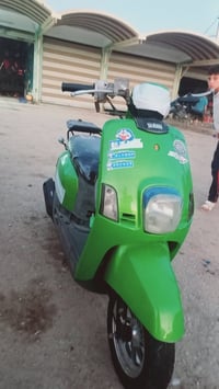 ماكس بوليس • فول كفالة • دوانيه السدير