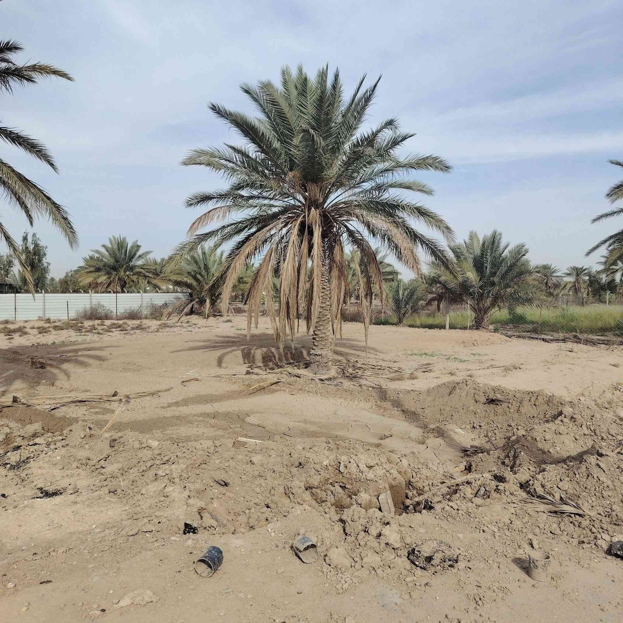 للبيع قطعة أرض مميزة 🏡
📍الموقع: مقابل بوابة طريق الحلة – الكفل
📐المساحة: 300 متر
✅ ماء وكهرباء
✅ شارع مبلط
✅ طابو رسمي
✅ صرف زراعي
✅ تحويل مباشر باسم المشتري
📞 فرصة مناسبة للسكن أو الاستثمار
للتواصل: ……***********
