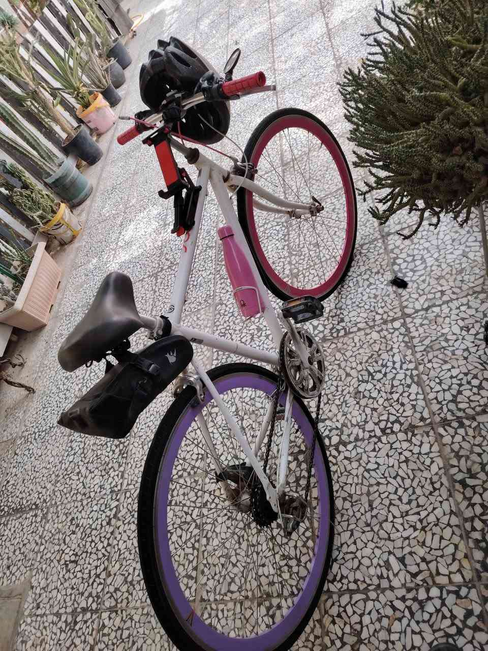 البيع باسكل رياضي
***********
