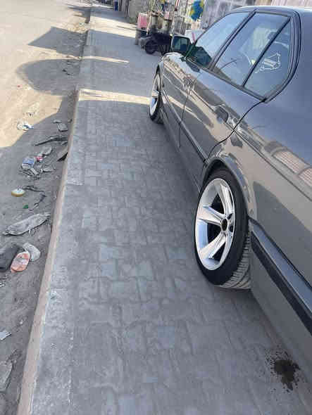 تخم ويل هامان رياضي ١٨ نضيف للبيع او المراوس مكاني بابل جبلة ***********
