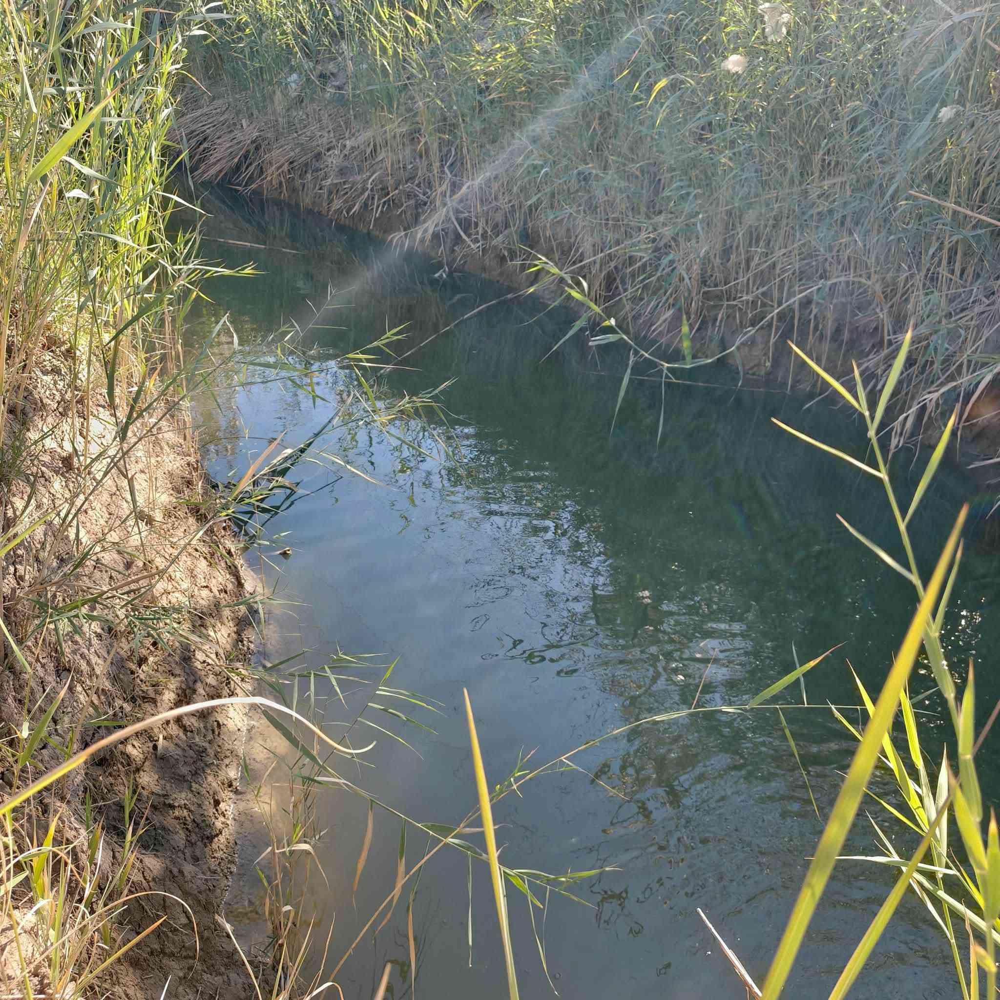 السلام عليكم
ارض للبيع في الفلوجة النساف البوعيسى البوصالح قرب مدرسة المحجة البيضاء  مساحة 2 دونم نوع الارض عقود زراعيه عقد 17 تتوفر بيها كافة الخدمات (كهرباء ماء ) ارض سكنيه شارع 8 متر + ترهم زراعيه يوجد فيها اروائي للري
سعر الدونم 28 
للاستفسار اكثر الاتصال على الارقام التاليه
واتساب+اتصال  ***********
