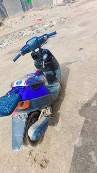 بترا • نضيفه • تضحية