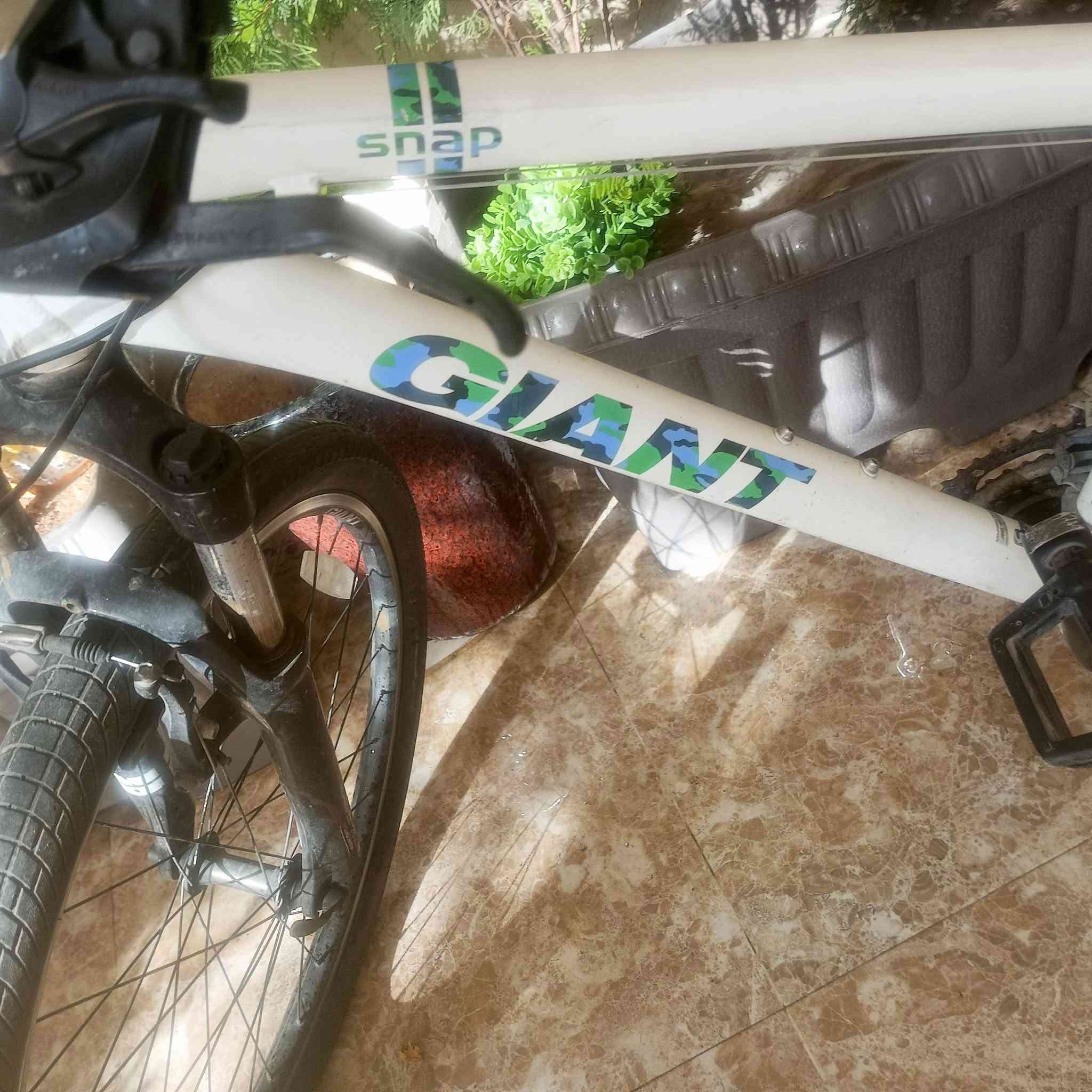بايسكل جبلي من نوع جاينت سناب (Giant Snap
الاصلي مستخدم شي قليل 230 الف


**إذا كنت صاحب هذا الإعلان وتريد حذفه لأي سبب، رجاءا أرسل رسالة إلى الدعم الفني**