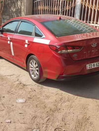 سوناتا • ٢٠١٩ • نجف كوفه