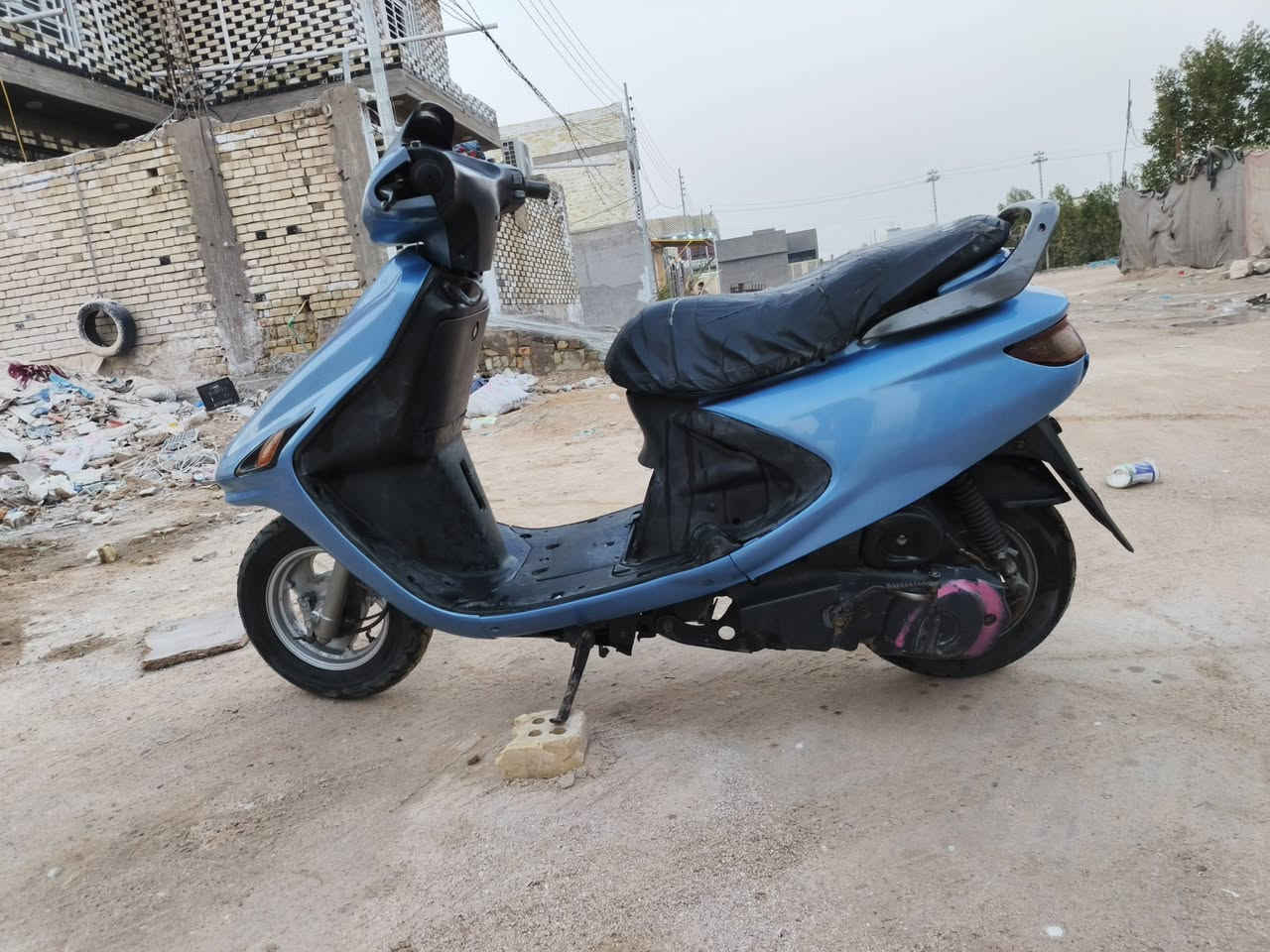 سلام فراشه فحل السعر300 ابيها مجال***********
