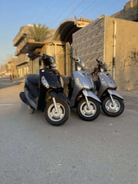 دراجات منغولي • موديل حديث • مدينة الصدر الاورفلي