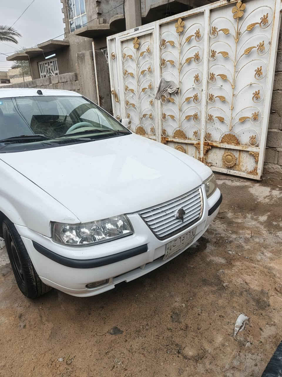 التفاصيل داخل الصور
