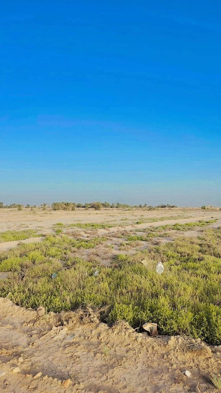 🌾 أرض زراعية للبيع - 3 دونم

سند 25 | طابو زراعي | تحويل مباشر
خلف جامعة بابل - 5 كم
قريبة على المجمع السكني الجديد
القطعة مقسمة وجاهزة

ماء وكهرباء قيد الإنشاء
سعر مناسب جداً

📞 ***********
مكتب الركابي للعقار
