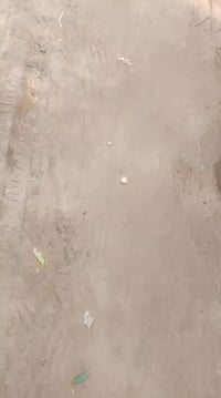 انباله • تاكسي جاهز • رقم انكليزي