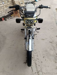 تايكر سوليك • موديل 2024 • أوراق كاملة