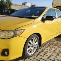 كورلا ٢٠٠٩ • وارد امريكي • بغداد الشعب