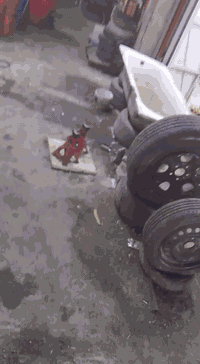 محل للبيع ضرف خاص شغال خير من الله بيعه كامل موقع وغراض مكانه الزعفران...