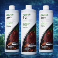 علاج النباتات • طوز خورماتو • توصيل مجاني