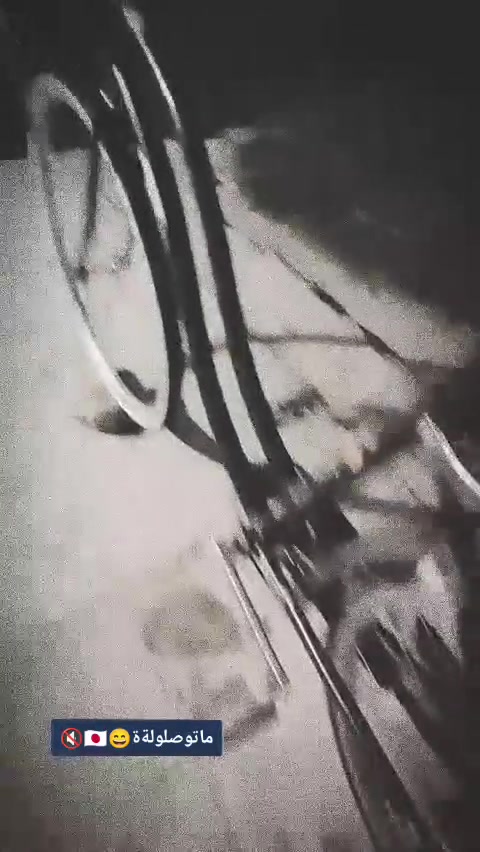 باسكلل باباني 🇯🇵 حاويه

صارله 5 اشهر من طالع حاويه 🤍

مكاني ناصريه قرب مدرسه الامامين شارع المرتضى✨🌷

سعر 80 قفل


**إذا كنت صاحب هذا الإعلان وتريد حذفه لأي سبب، رجاءا أرسل رسالة إلى الدعم الفني**