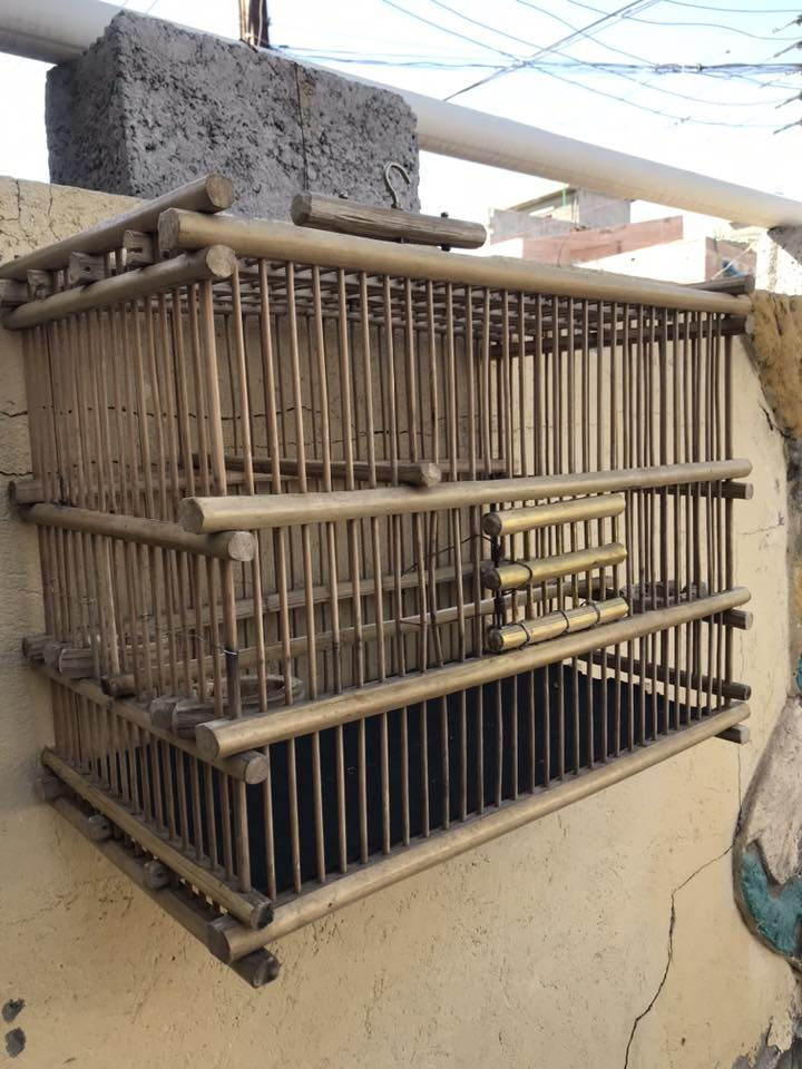 للبيع سعره 20 قفله الاستفسار ***********
