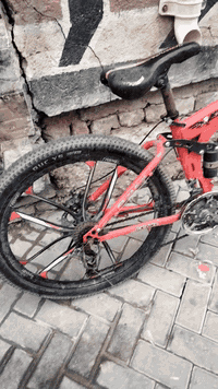 باسكل بيم اكس حبلي الرقم077312279015 السعر 100 وبي مجال