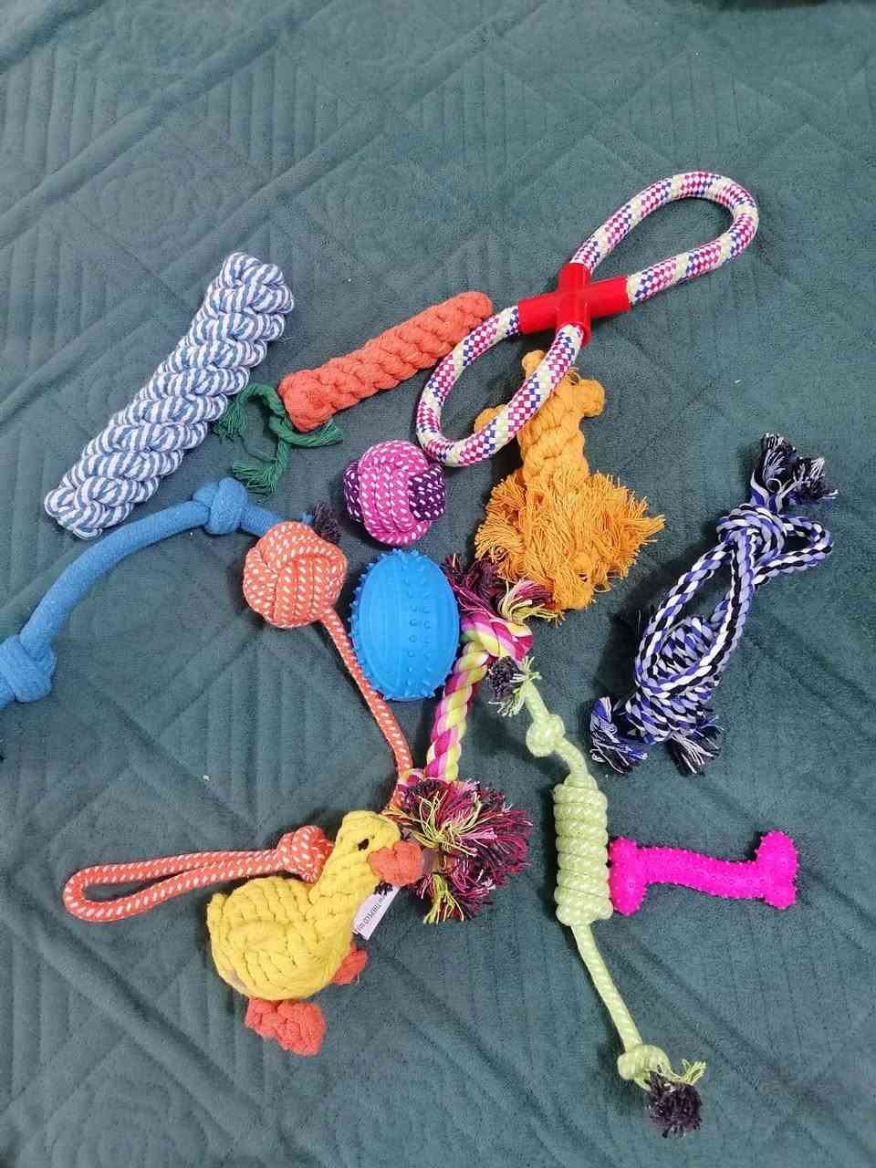 ادوات قطط


**إذا كنت صاحب هذا الإعلان وتريد حذفه لأي سبب، رجاءا أرسل رسالة إلى الدعم الفني**