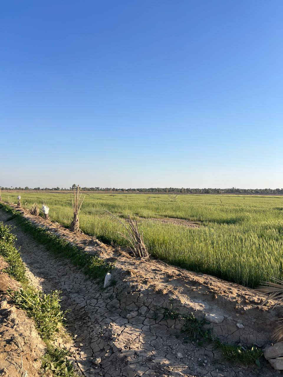 وينهم عاشق الريف ااجيتكم بمزراعه حلوه ومرتبيه متوافر فيه جيمع الخدمات
مساحه الارض 5دونم 🤌
نوع الارض طابو زراعي  سند 25 
مواقع قرب بزل حجي
لاستفسار اكثر الاتصال ***********
