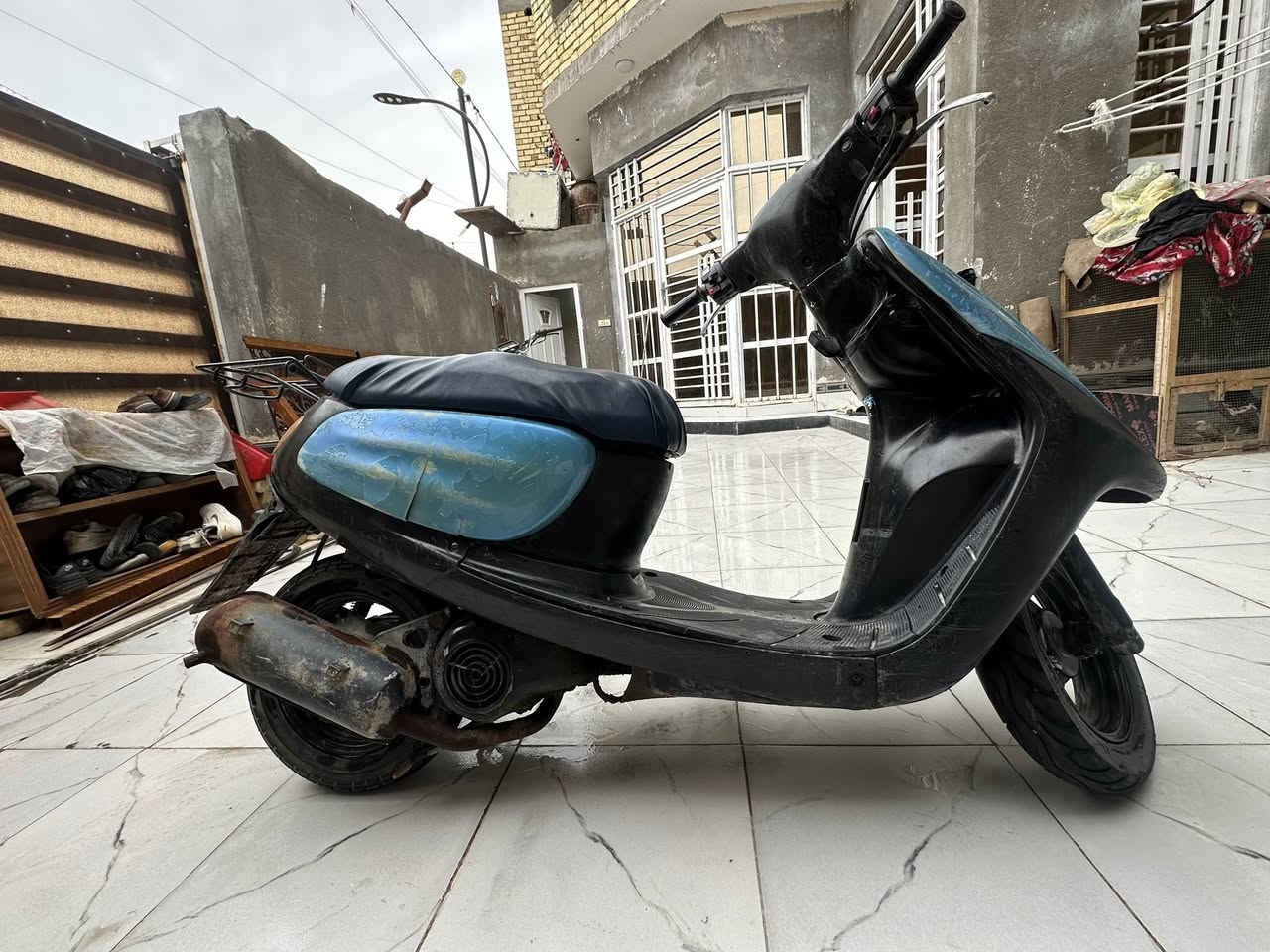 دراجه منغولي فحل للبيع مكينه وكير مضيفات شلعه ومعدل عنوان ناصرية مركز السعر (275)***********
