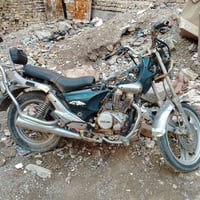 دايلم • هارلي • تانكيات