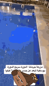 مزرعة الدورة • قرب جسر الطابقين • صباحي مسائي