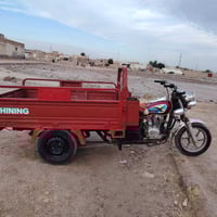 ستوته • صقر • الحمزه الشرقي