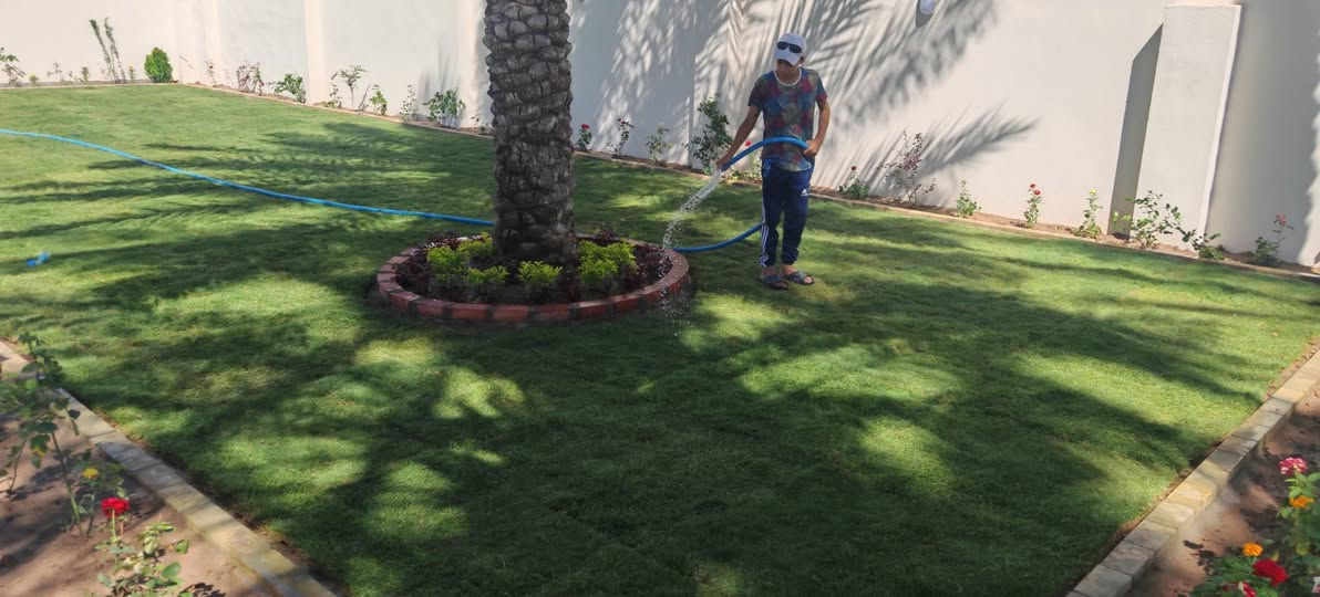تصميم بسيط ولمسات أجمل.  حديقه ١٥٠ متر. ثيل سباني. ورود دائمة تزهير  صيف شته دقة بتعديل وتسويه    كادر مشتل محمد. يتهنه بيه كاك محمود أبو كاني ***********
