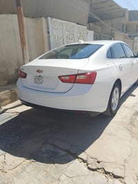 ماليبو • ٢٠٢٤ • مصدوم امريكا