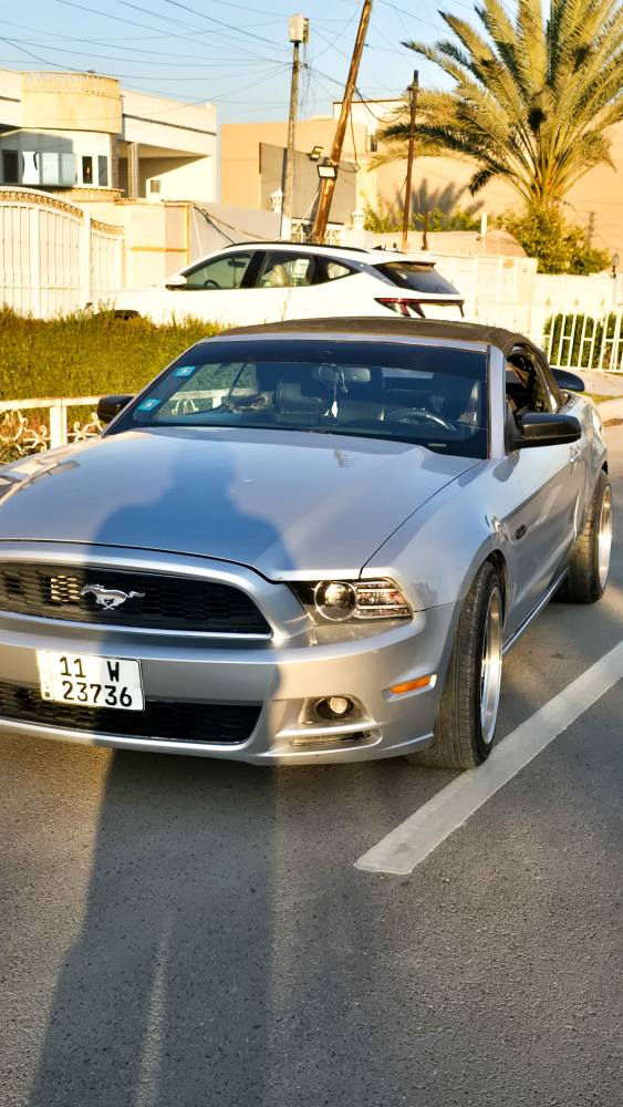 موستنك ٢٠١٤ بريميوم كشف
سيارة كلش نظيفة ونقوصات بسيطة
حادثهة الجاملغ الايمن مبدل و مصبوغ فقط 
وهنا بالعراق الباب مبدل نفس اللون وشوية بارد بالجنطة اقل الشبر
بدون دواخل
يعني الصبغ فقط الجاملغ 
-مكينة زيرو مال ١٧
-ويالة ويلد تو سايز
-مفرغة وعليهة برمجة
-اذاين جدد
-فيت بم جديد
-ادامة كاملة
-داينمو جديد
-باتري جديد
-تخم تايرات جديد
-رقم بغداد باسمي
-نقوصات
-كشف بي شك ومعالجة على كدة بالنواب
السعر 105 وبي مجال
المكان بغداد حي العدل
للتواصل *********** بغداد, العراق
