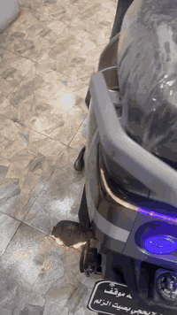 ورحمه الله وبركاته دراجه 318غنيه عن التعريف جديدا لوك💞 الدراجه كهربائي...