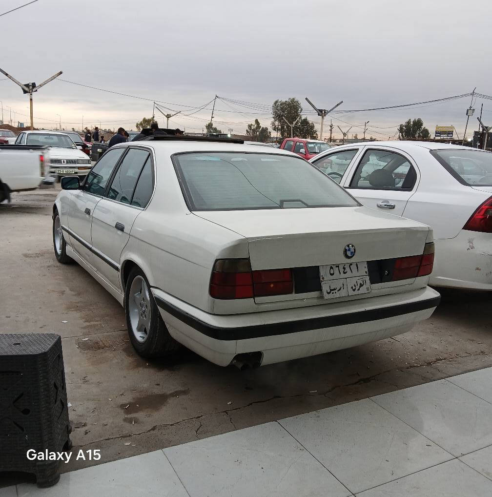 91///525///***********///غرام590/////////سحر62 أربيل, العراق
