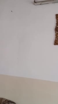 حي المامون • ٨٧م • غرفتين