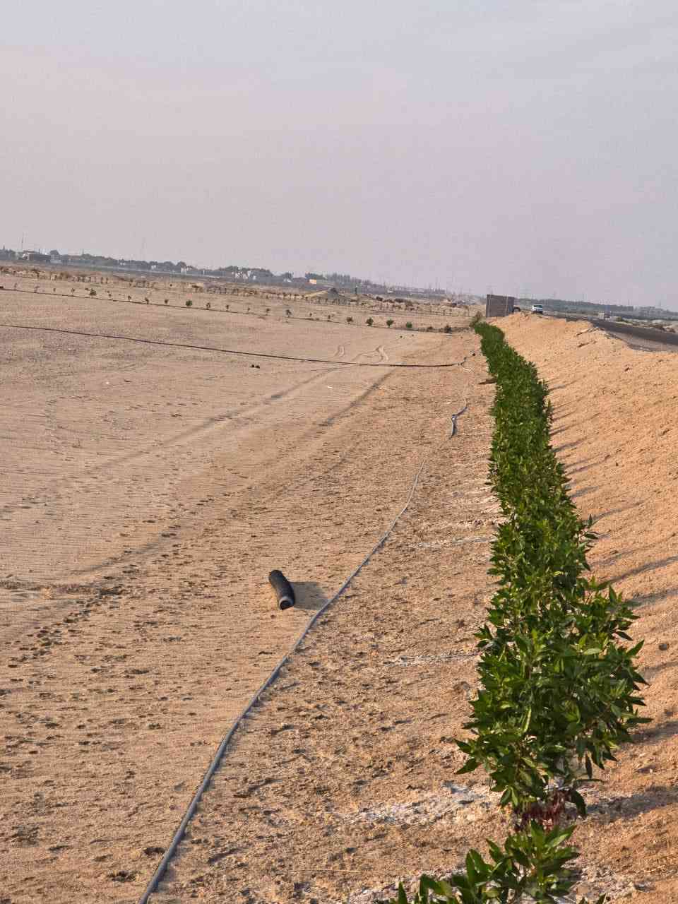 دوانم للبيع
السلام عليكم 6 دوانم للبيع كل دونم 50م50Xم على الشارع العام توجد كهرباء وطنيه ومحوله على طريق النجمي على الرفيع سعر الدونم 7 ونص مكانهن على التبليط عقد زراعي قيد الانجاز

تفاصيل اكثر اتصل ***********
