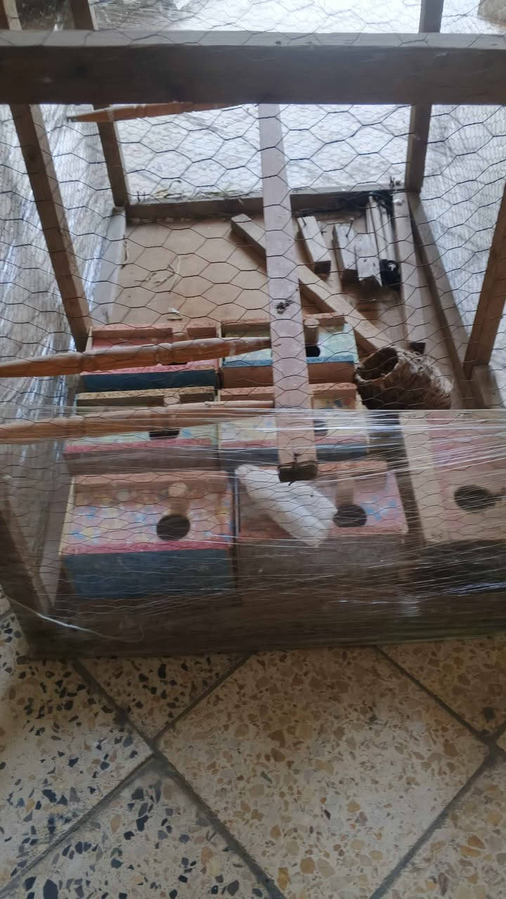 السلام عليكم
قفص للبيع الارتفاع 90االطول 80العرض 60 وياه 8بقالات مال طيور حب  شوف واقتنع  يله تجي السعر 40وبيه مجال قليل هاذا رقمي ***********يوجد واتساب المكان حله قرب جسر نادر Singapore
