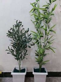 قطع اخيرة • ديكور • حديقة