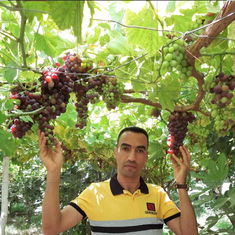 بشرى سارة 
لأهلنا في ناحية جبله وكل شمال بابل وجنوب بغداد 
تم أفتتاح مشتل الكرم قرب سيطرة العكير بإتجاه السوق جهة المشروع 
تتوفر لدينا جميع أنواع وأصناف الأشجار من الحمضيات والنفضيات والزهور وأشجار الزينه 
حيث تم تركيبها وتطعيمها بأصناف وسلالات غزيرة الإنتاج عالية الجودة علماً بأننا مستعدون لرسم وتخطيط وتنفيذ البساتين والحدائق وتقديم الأستشارة مجاناً وبإشراف الأستاذ حسام الدليمي .
للتواصل والإستفسار يرجى التواصل على الرقمين
واتس***********
***********
